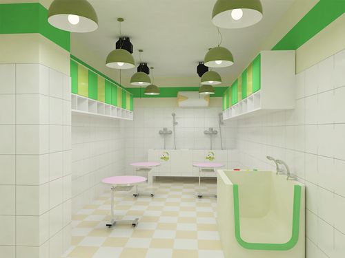 圣宠宠物西昌南坛店