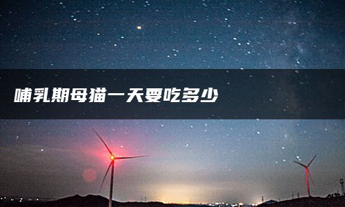 哺乳期母猫一天要吃多少