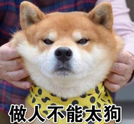 形容人很狗是什么意思?网络用语“很狗”的真实含义