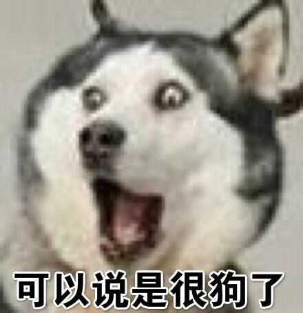 形容人很狗是什么意思?网络用语“很狗”的真实含义