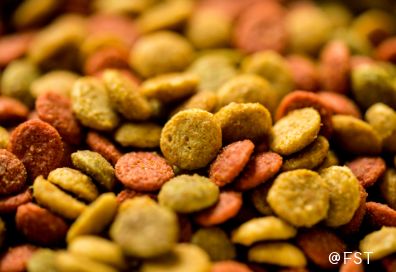 关键成分！深度解析宠物食品中的添加剂、替代蛋白和姜黄