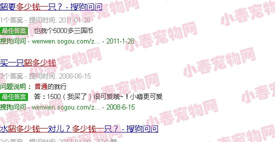 貂一般多少钱一件