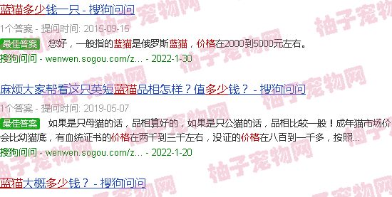 蓝猫价格多少