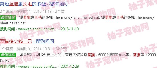 长毛蓝猫多少钱一只