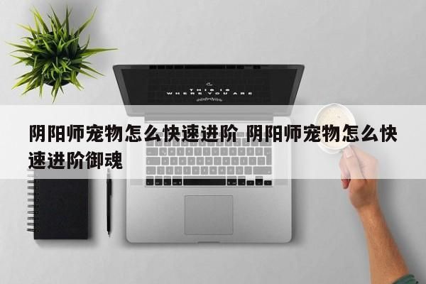 阴阳师宠物怎么快速进阶 阴阳师宠物怎么快速进阶御魂 第1张