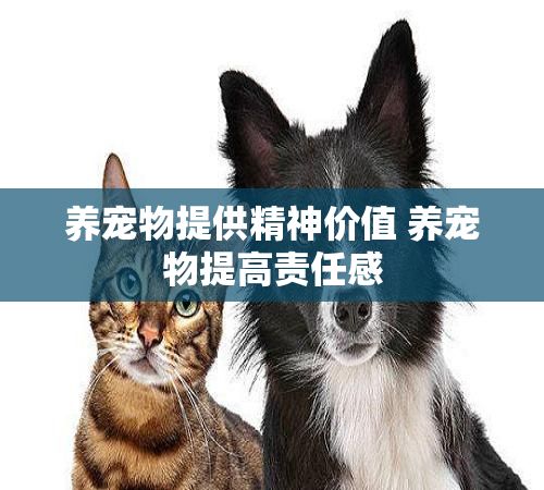 养宠物提供精神价值 养宠物提高责任感