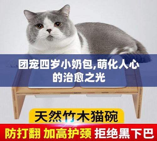 团宠四岁小奶包,萌化人心的治愈之光