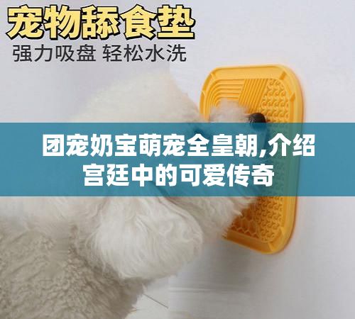 团宠奶宝萌宠全皇朝,介绍宫廷中的可爱传奇