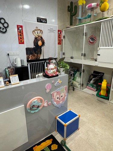 家门口的宠物店！！