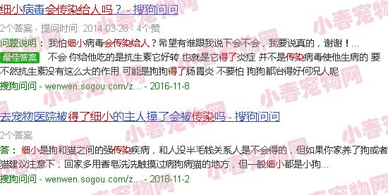 猫咪得了细小会传染给人吗