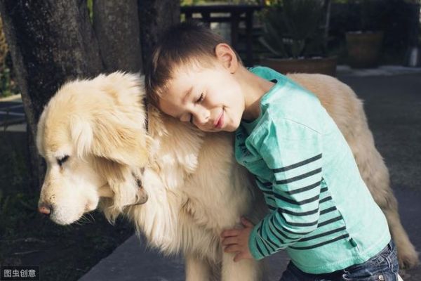 小型犬有哪些，大型宠物犬有哪些品种（只要给它一口饭吃）