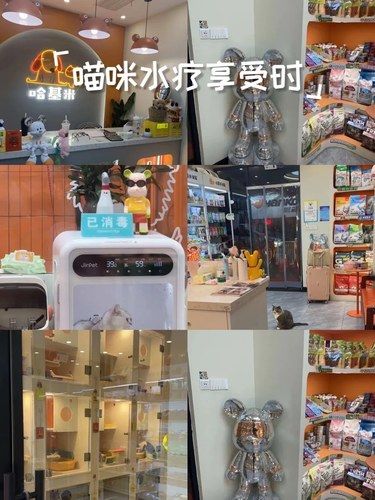 宠物的天堂，主人的放心之选！