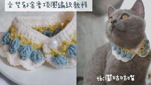 宠物项圈编织教程？手把手教你DIY宠物项圈，让你的宠物更时尚