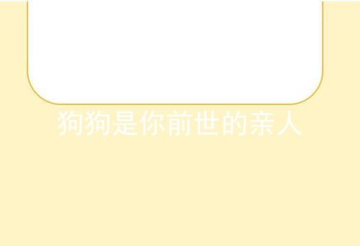 狗狗是你前世的亲人