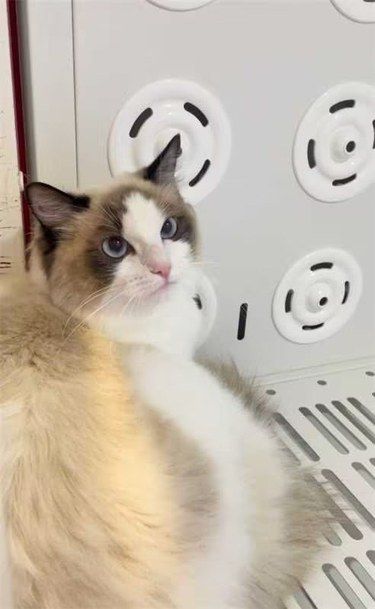 我要曝光这家宠物店！！！