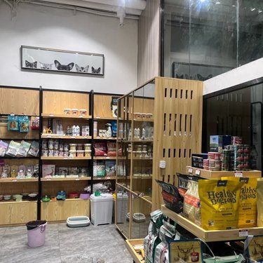 宠物店推荐