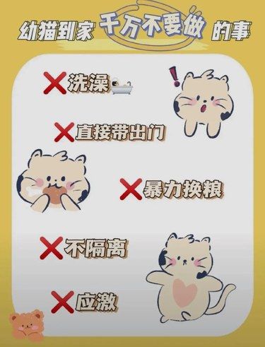 ‍【爱喵小课堂】