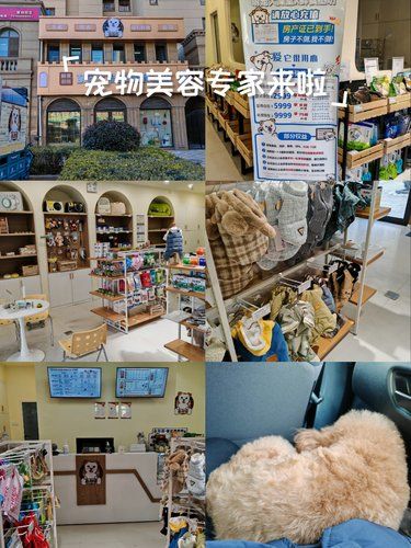 快乐宠物家