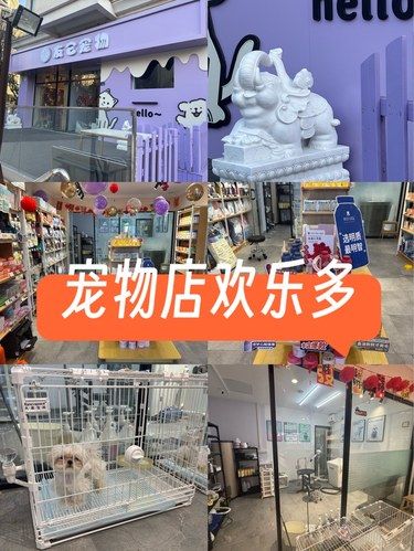 宠物店欢乐多