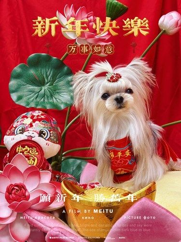 小小年兽来报福
