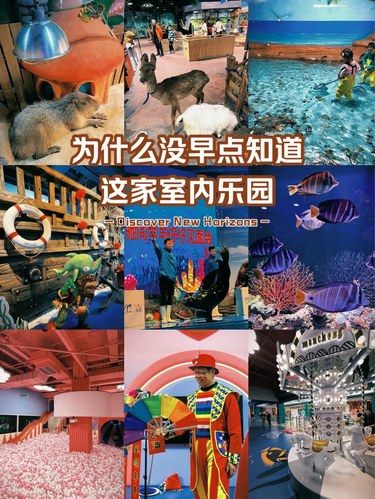 丰台最好玩的室内乐园 海狮表演还能冠名