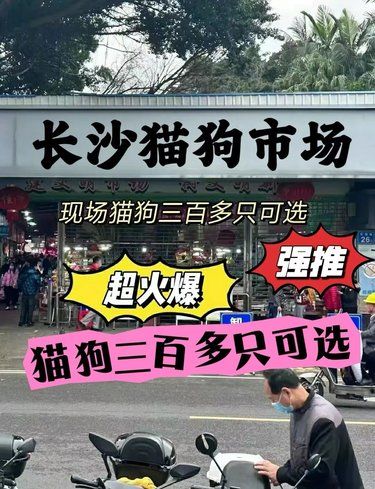 长沙强推猫狗市场，逛完可以来这也看看[点赞][点赞]