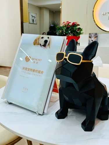 [爱心]愿所有爱宠都能以另一种方式陪伴你！