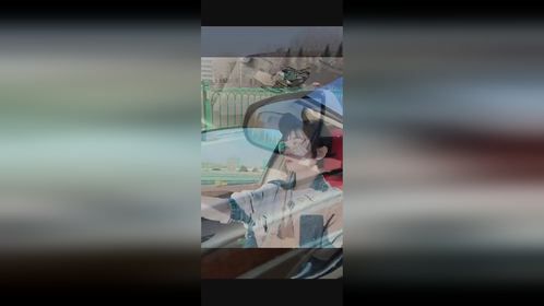 对它们没有多么好，但是我在哪里它们就在哪里