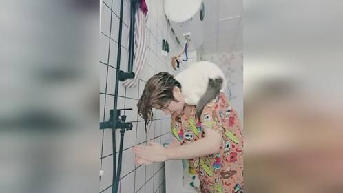 很荣幸得到了猫主的偏爱