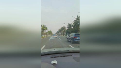 狗说：我这一身貂还没脱下去呢，怎么就夏天了？
