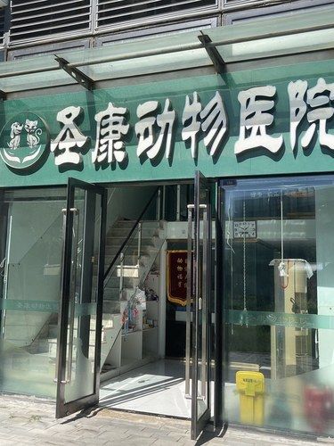 房山的这个动物医院太赞了 