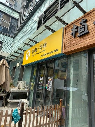 北京狗狗SPA
