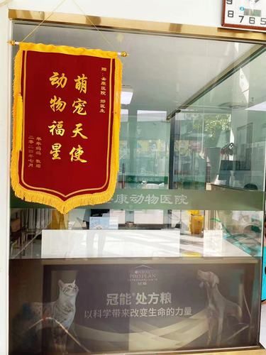 这家宠物医院应该被所有铲屎官朋友知道！