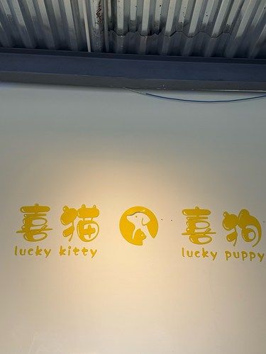 可以撸猫的宠物生活馆