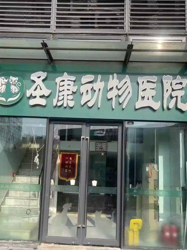 走进毛茸茸的治愈世界 