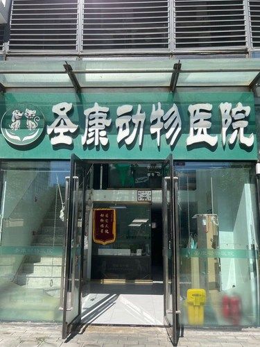 圣康动物医院——毛孩子的健康守护者✊✊✊ 