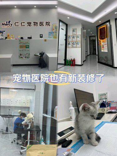 带着毛孩子体检的一天