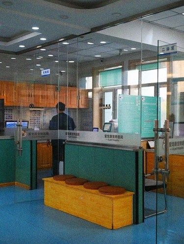 【爱宠康24小时宠物医院】萌宠守护神