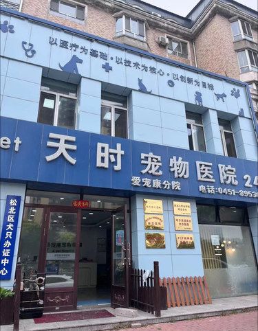 带着毛孩子体检的一天