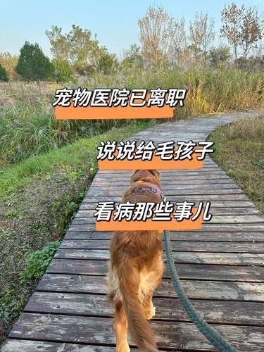 一些宠物医院不知道的事儿