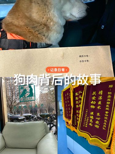 暖心萌宠圈