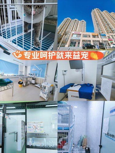 地方扩大，医疗设备全面升级