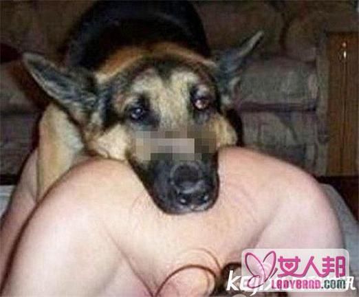人狗交配,