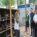 公羊兔养殖成本多少钱？公羊兔一只多少钱？