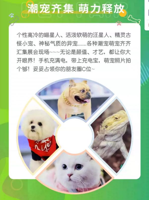 深圳宠物展
