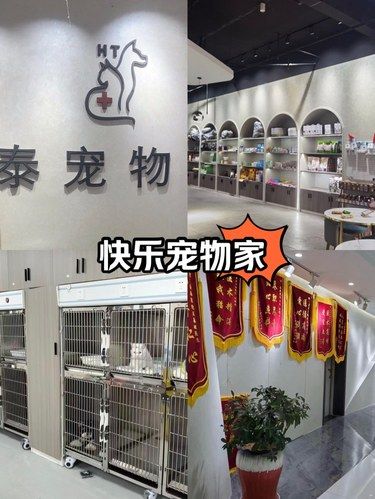 带着毛孩子体检的一天