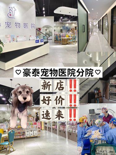 在绍兴‼️猫猫狗狗的三甲医院‼️豪泰宠物！