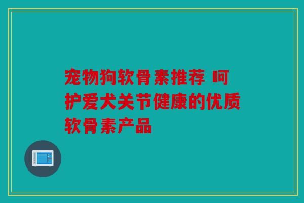 宠物狗软骨素推荐 呵护爱犬关节健康的优质软骨素产品