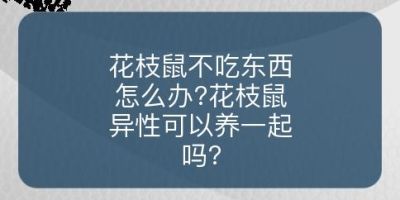 花枝鼠不吃东西怎么办?花枝鼠异性可以养一起吗?