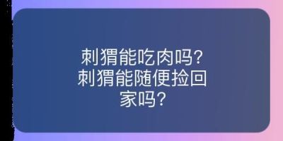 刺猬能吃肉吗?刺猬能随便捡回家吗?